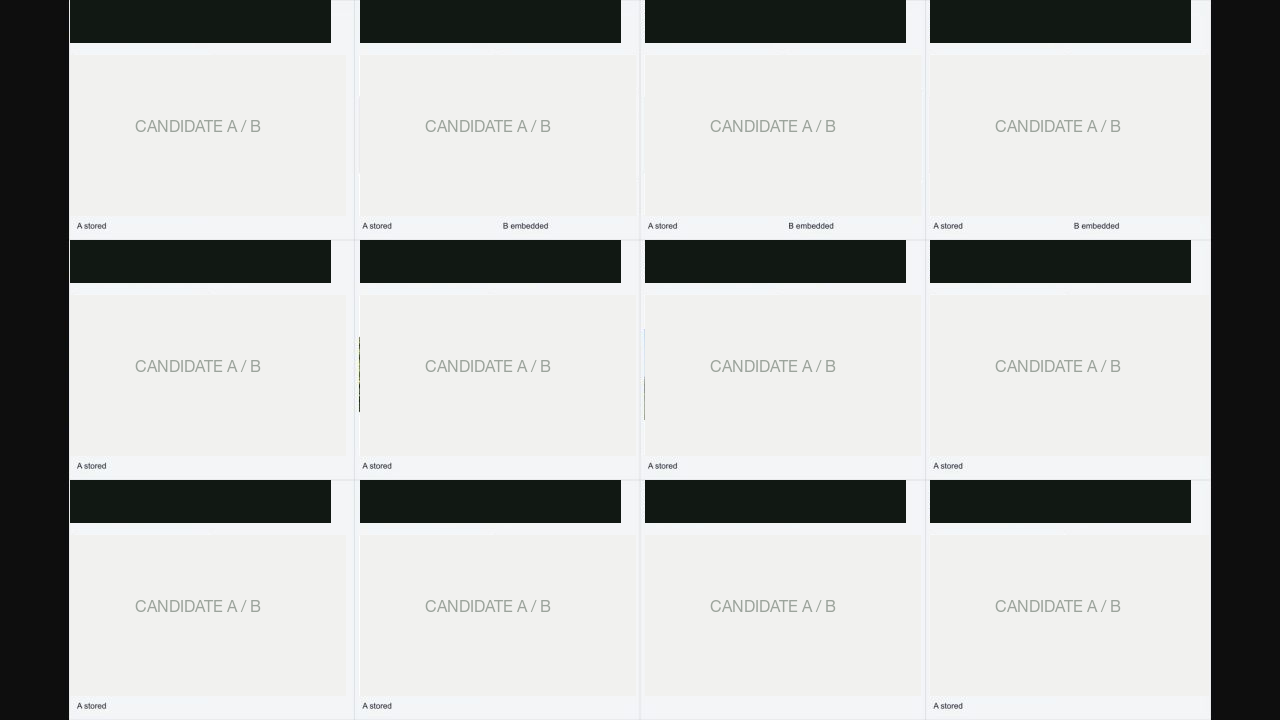 A visual verification matrix comparing candidate images side by side for each record, with stored and embedded variants labeled for review.